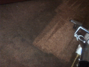 carpet cleaning in Rochester, NY